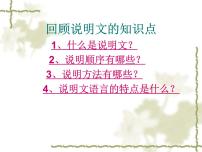 初中人教部编版18 中国石拱桥课前预习ppt课件