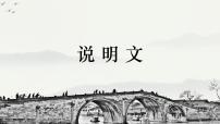2020-2021学年第五单元18 中国石拱桥教案配套课件ppt