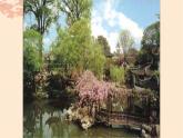 19《苏州园林》课件（32张PPT）  2021-2022学年部编版语文八年级上册