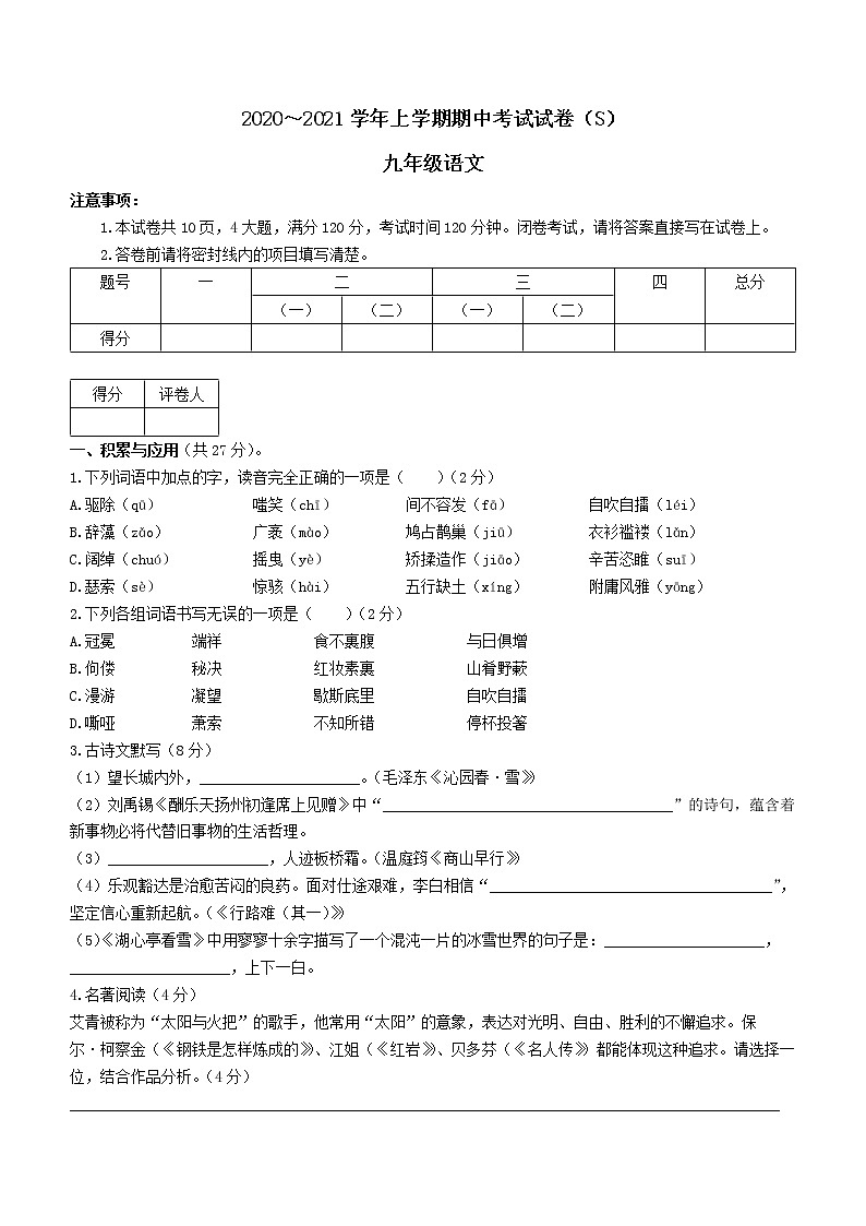 河南省漯河市舞阳县2020-2021学年九年级上学期期中语文试题（word版含答案）01