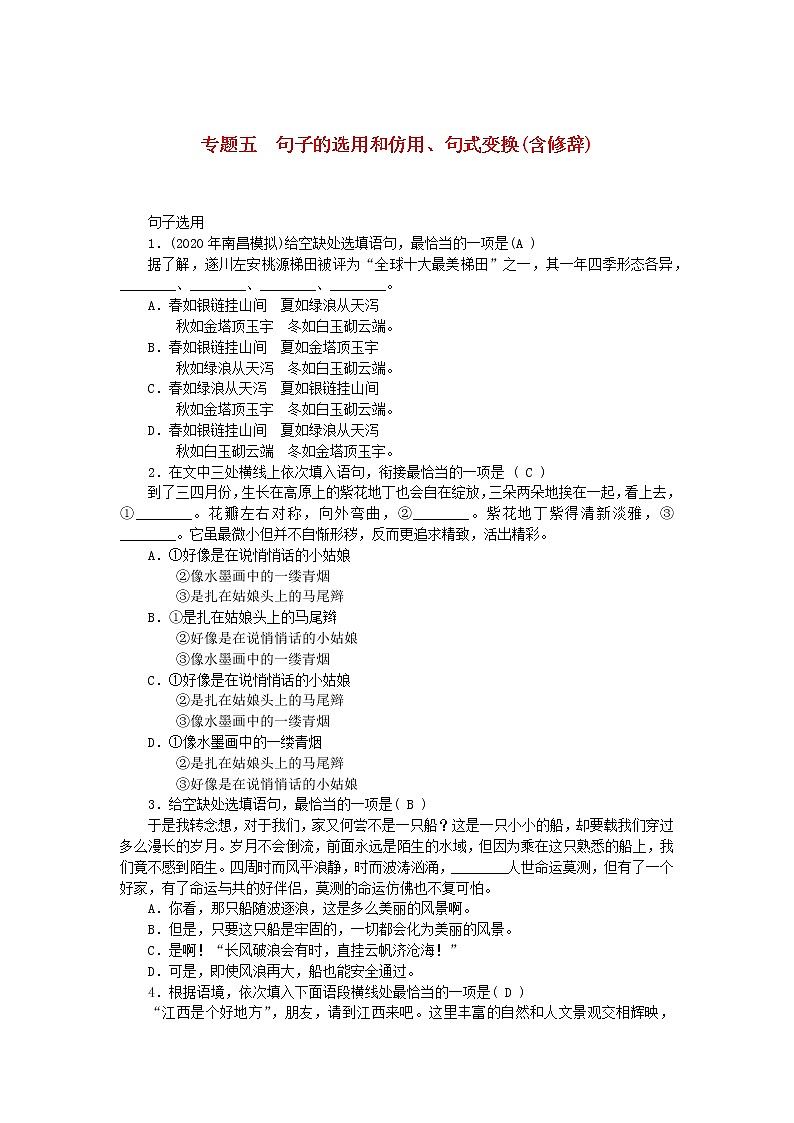 江西专版2021中考语文第一部分语文知识及其运用专题五句子的选用和仿用句式变换含修辞01