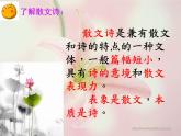 人教版语文七年级上册  散文诗两首课件PPT