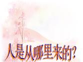 人教版语文七年级上册  女娲造人课件PPT
