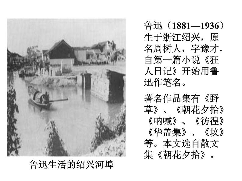 人教版语文八年级上册藤野先生课件PPT第5页