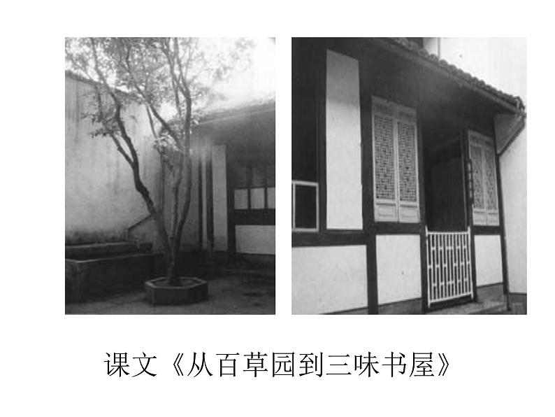 人教版语文八年级上册藤野先生课件PPT第6页