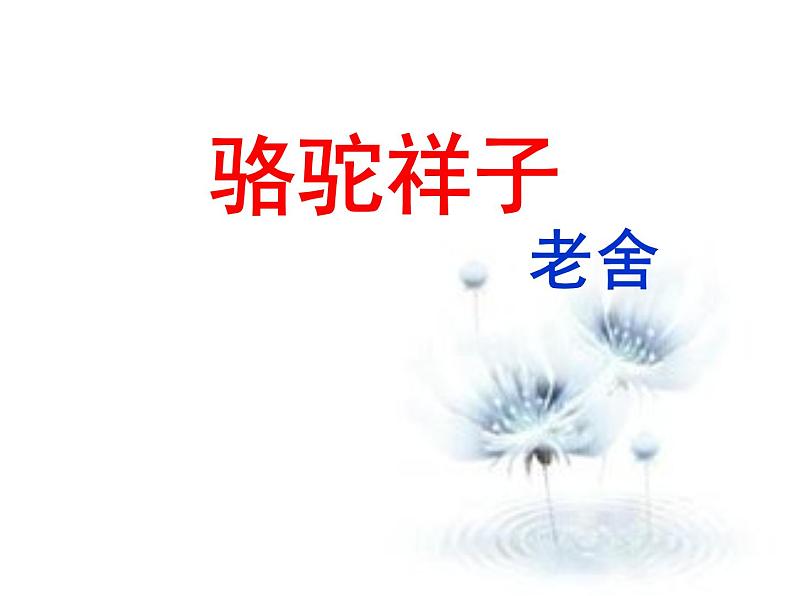 人教版语文七年级下册  骆驼祥子课件PPT第1页