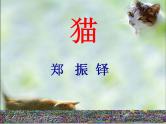 16猫课件PPT