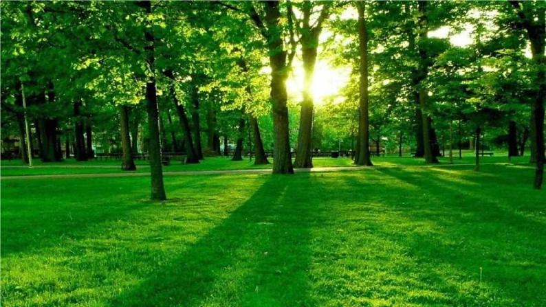 人教部编版七年级语文上册《13 植树的牧羊人》探究教学课件PPT优秀公开课第2页