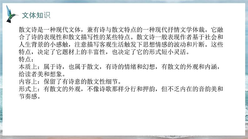 课件第6页