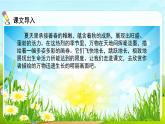 2021-2022学年初中语文人教部编版（五四） 六年级上册 16夏天里的成长 课件