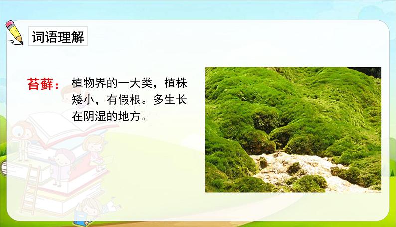 2021-2022学年初中语文人教部编版（五四） 六年级上册 16夏天里的成长 课件第7页