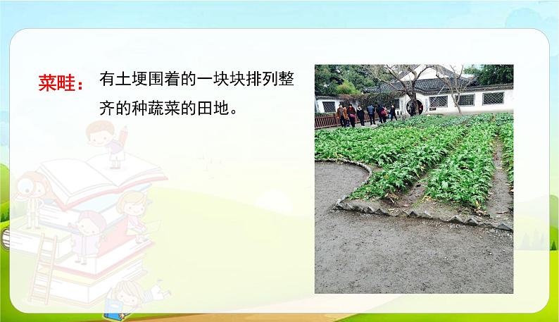 2021-2022学年初中语文人教部编版（五四） 六年级上册 16夏天里的成长 课件第8页