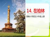 2021-2022学年初中语文人教部编版（五四） 六年级上册 15在柏林 课件