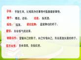 2021-2022学年初中语文人教部编版（五四）六年级上册 4花之歌 课件