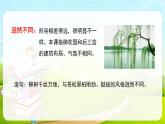 2021-2022学年初中语文人教部编版（五四）六年级上册 11故宫博物院 课件