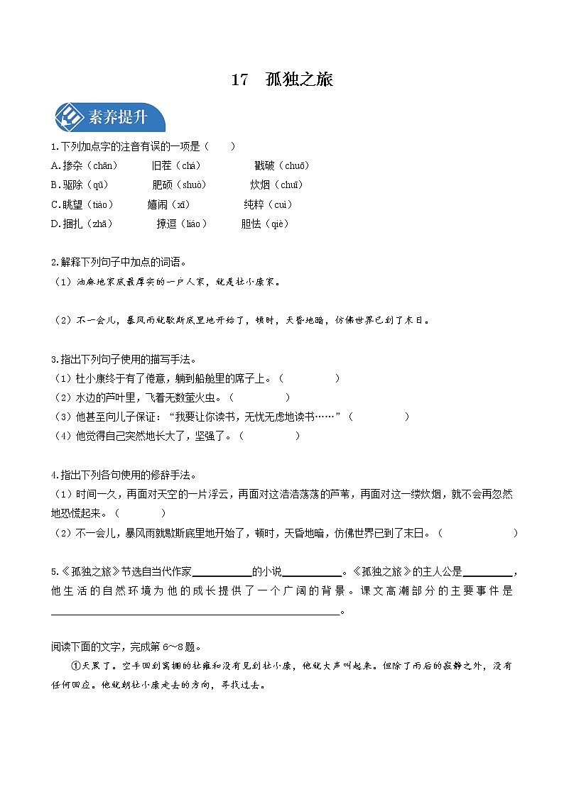 17　孤独之旅  同步习题 初中语文人教版九年级上册（2021年）第1页