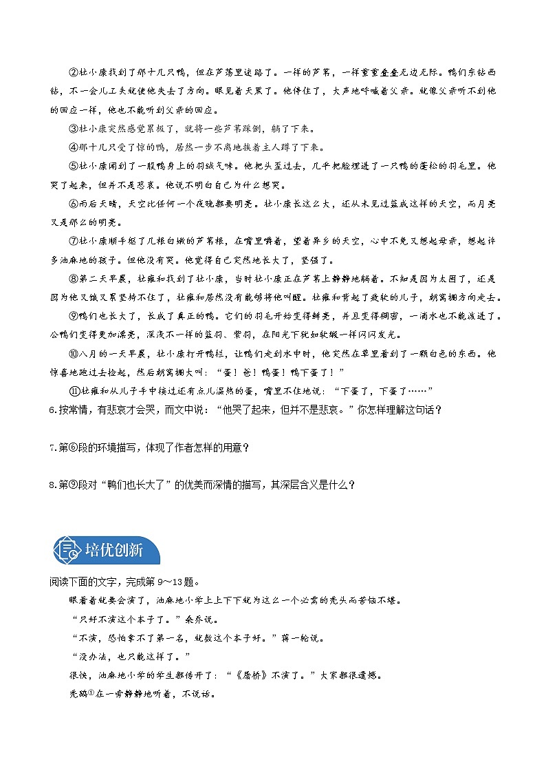 17　孤独之旅  同步习题 初中语文人教版九年级上册（2021年）第2页