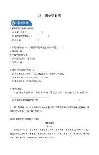 初中语文人教部编版九年级上册13* 湖心亭看雪测试题