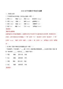 沈阳市2018年中考语文试题（解析版）