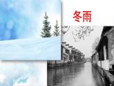 2021-2022学年初中语文 人教部编版（五四制） 七年级上册 第一单元 3 雨的四季 课件