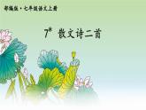 2021-2022学年初中语文 人教部编版（五四制） 七年级上册 第二单元 7 散文诗二首课件PPT