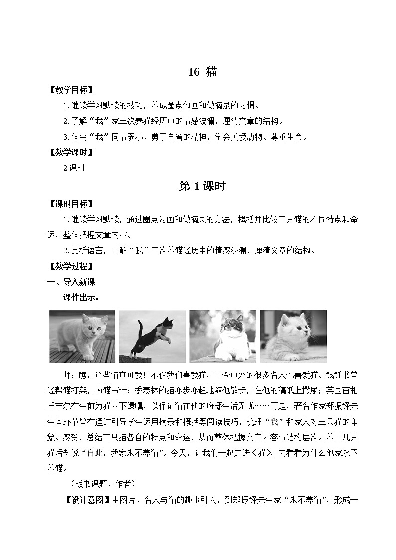 2021年初中语文 人教部编版（五四制）七年级上册 第五单元 16 猫（教案）02