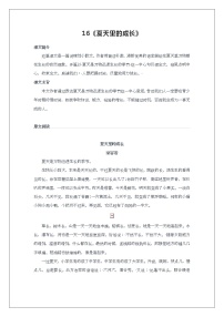 2020-2021学年16 夏天里的成长学案