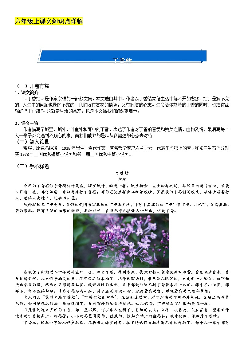 2021-2022学年 初中语文 人教部编版（五四）六年级上册 六年级上册《丁香结》详解及练习(解析版)第1页