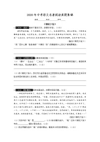 2020年中考语文名著阅读真题集锦（word含答案）