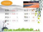 2021-2022学年 初中语文 人教部编版（五四）（2018）九年级上册 16《孤独之旅》 课件