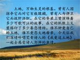2021-2022学年 初中语文 人教部编版（五四制）九年级上册 《我爱这土地》课件（共26张PPT）2