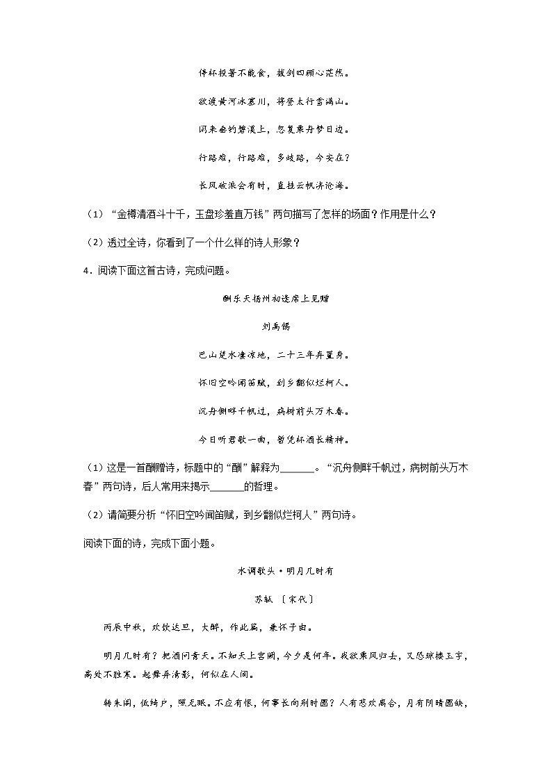 专题11：诗歌鉴赏-2021-2022学年九年级语文上册期中专项复习（部编版）02