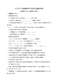 2019年广东省揭阳市中考语文试题及答案