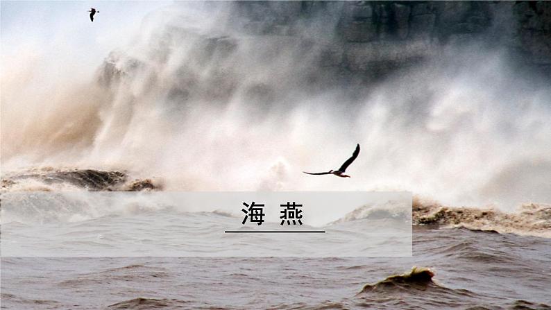 部编版九年级下册语文4 海燕  课件01