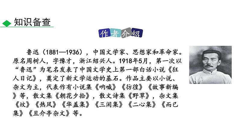 八年级下册 1.社戏课件PPT第4页