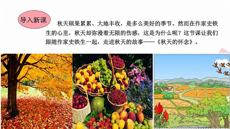 人教版语文七年级上册  5秋天的怀念【教学课件+教案+学案+素材】02