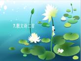 人教版語文七年級上冊  7散文詩二首【教學(xué)課件+教案+學(xué)案+素材】