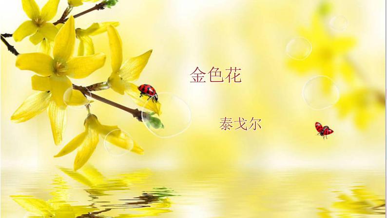 人教版语文七年级上册  7散文诗二首【教学课件+教案+学案+素材】08