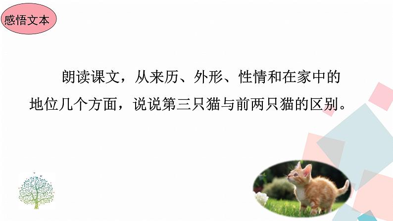 人教版语文七年级上册  16猫【教学课件+教案+学案+素材】08