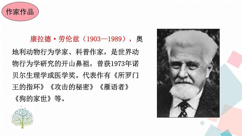 人教版语文七年级上册  17动物笑谈【教学课件+教案+学案+素材】04