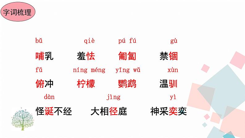 人教版语文七年级上册  17动物笑谈【教学课件+教案+学案+素材】06