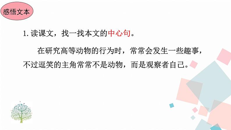 人教版语文七年级上册  17动物笑谈【教学课件+教案+学案+素材】08