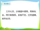 课外  定风波课件PPT