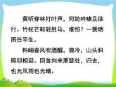 课外  定风波课件PPT