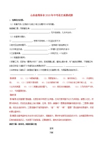 【中考真题】2018年中考语文试卷 山东省菏泽市（含解析）