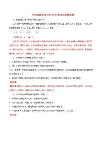 【中考真题】2018年中考语文试卷 江苏省泰州市（含解析）