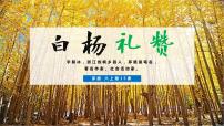 初中语文人教部编版八年级上册14 白杨礼赞教学ppt课件