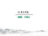 第16课《散文二篇》课件（共38张PPT）2021—2022学年部编版语文八年级上册