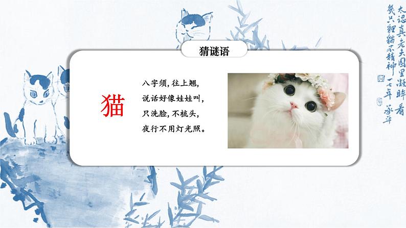 部编版七年级语文上册--16《猫》课件03