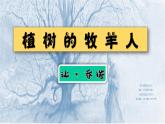 部编版七年级语文上册--13《植树的牧羊人》课件